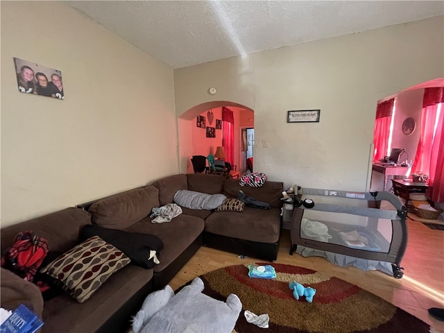 living room featuring a textured ceiling