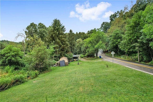 view of yard featuring a shed