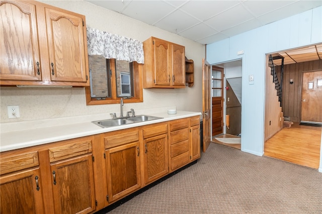 kitchen with light colored carpet, sink, and a paneled ceiling