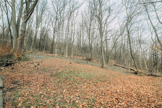 view of local wilderness