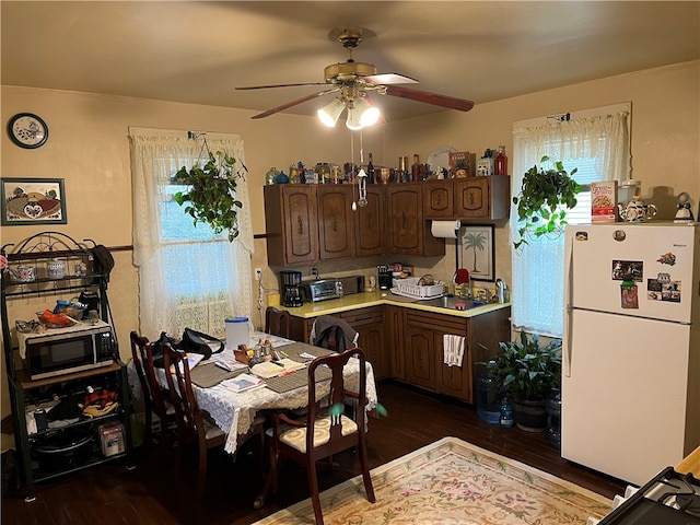 kitchen featuring white refrigerator, ceiling fan, dark brown cabinets, stainless steel microwave, and dark hardwood / wood-style floors