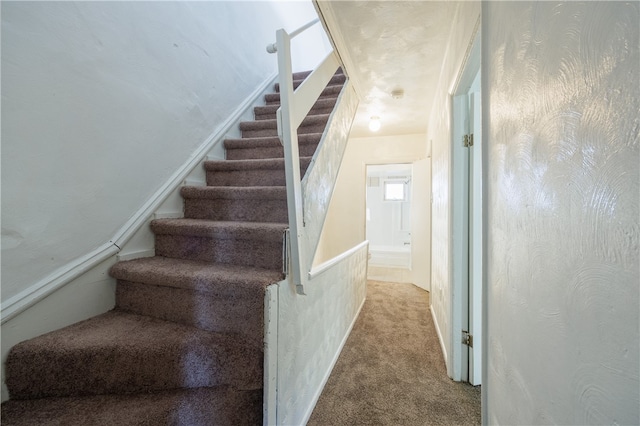 staircase featuring light colored carpet