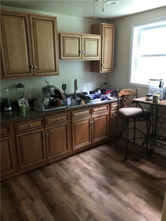 kitchen featuring dark stone counters and dark hardwood / wood-style floors