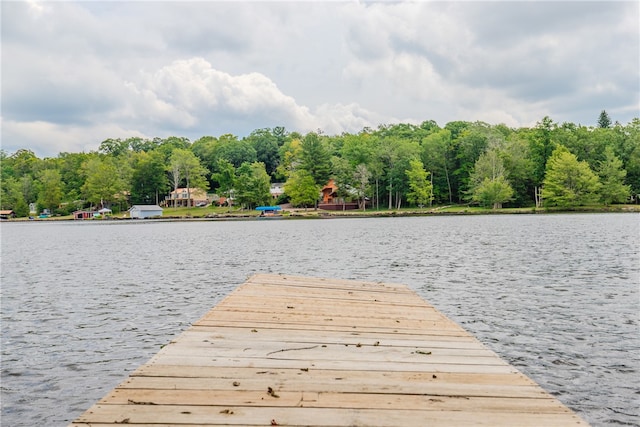 dock area with a water view