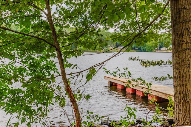 view of dock featuring a water view