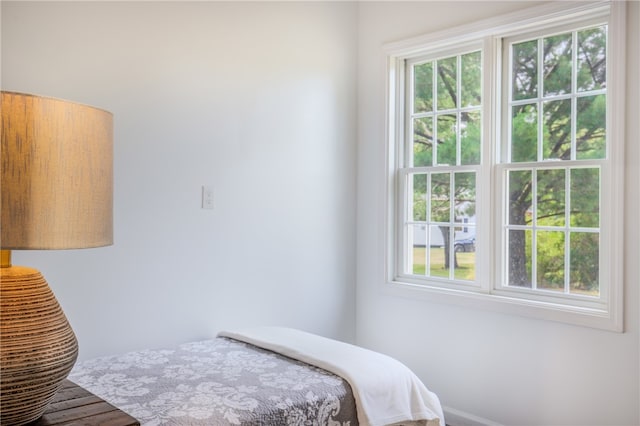 bedroom featuring multiple windows and hardwood / wood-style floors