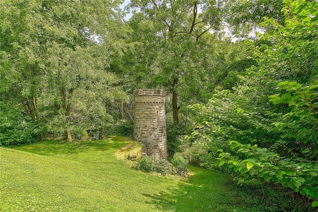 view of local wilderness