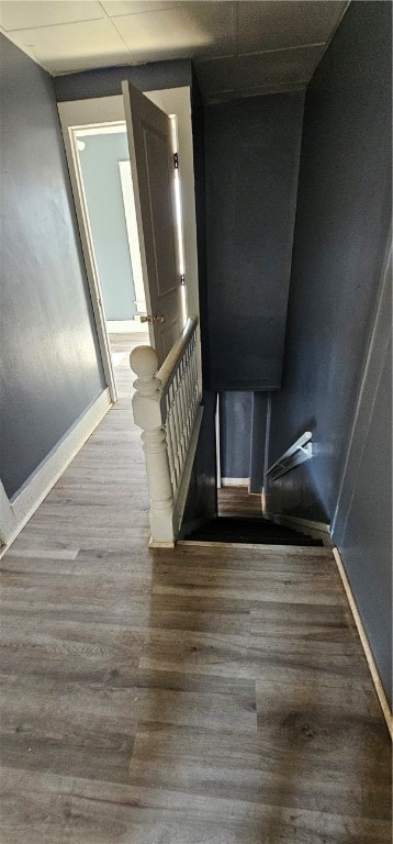 staircase featuring dark hardwood / wood-style floors