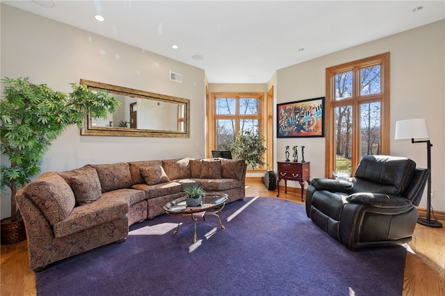 living room with hardwood / wood-style flooring and plenty of natural light