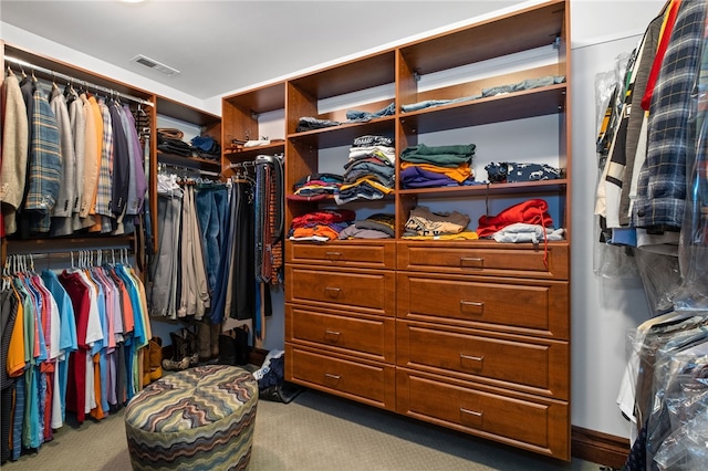 spacious closet featuring carpet floors