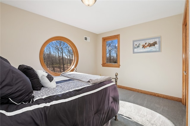 bedroom featuring carpet and multiple windows