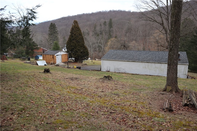 view of yard with a storage shed