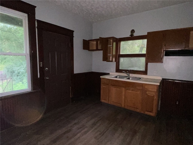 kitchen with a healthy amount of sunlight, a textured ceiling, sink, and dark hardwood / wood-style floors