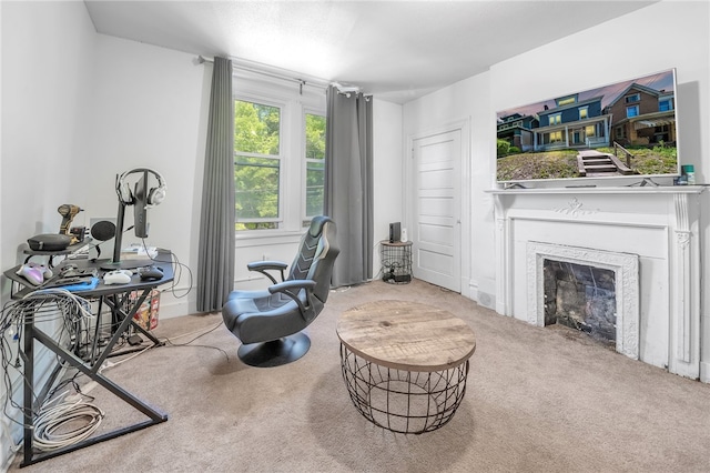 sitting room with light colored carpet