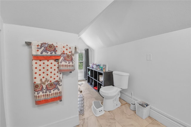 bathroom with lofted ceiling and toilet