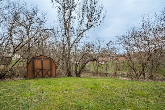 view of yard featuring a storage shed