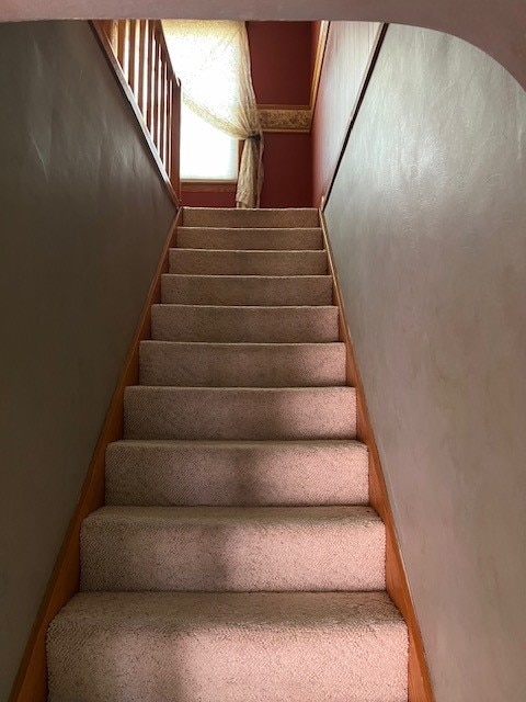 stairway featuring carpet floors