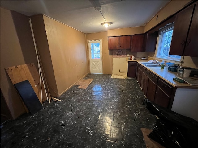 kitchen featuring sink, dark brown cabinets, and a wealth of natural light