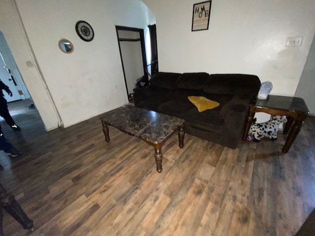 living room featuring dark wood-type flooring