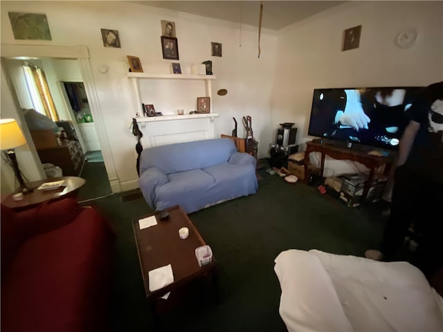 living room featuring a fireplace