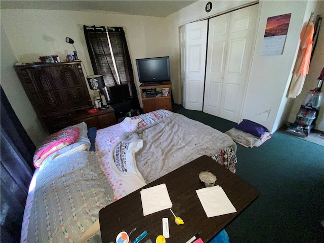 bedroom featuring a closet and carpet