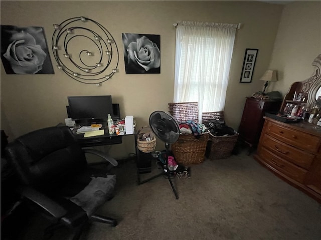 view of carpeted home office