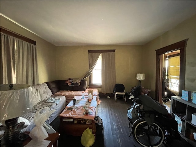 living room featuring dark hardwood / wood-style flooring and plenty of natural light