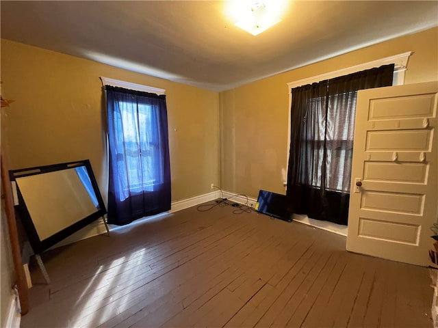 foyer entrance featuring wood-type flooring