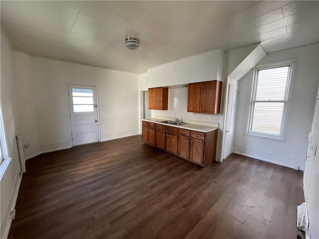 kitchen with sink and dark hardwood / wood-style flooring