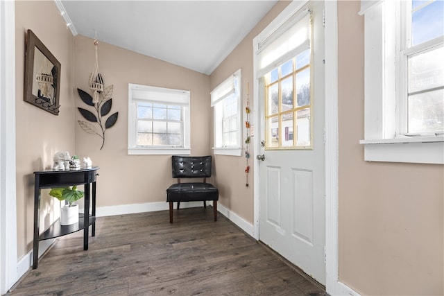 interior space with dark wood-type flooring and vaulted ceiling