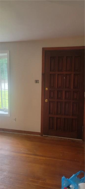 foyer entrance with wood-type flooring