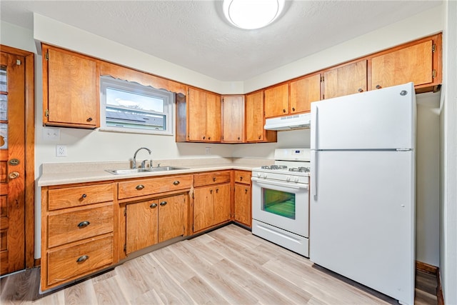 kitchen featuring light hardwood / wood-style flooring, sink, and white appliances