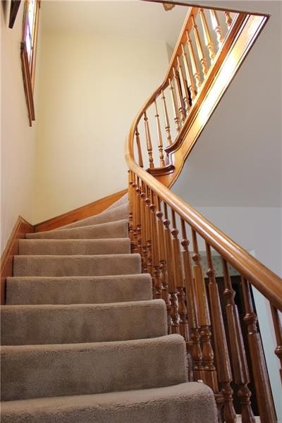 stairway featuring carpet