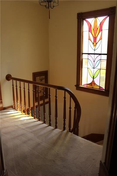 stairs with carpet and plenty of natural light