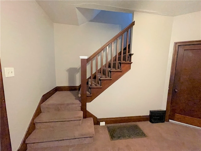 stairway featuring carpet floors