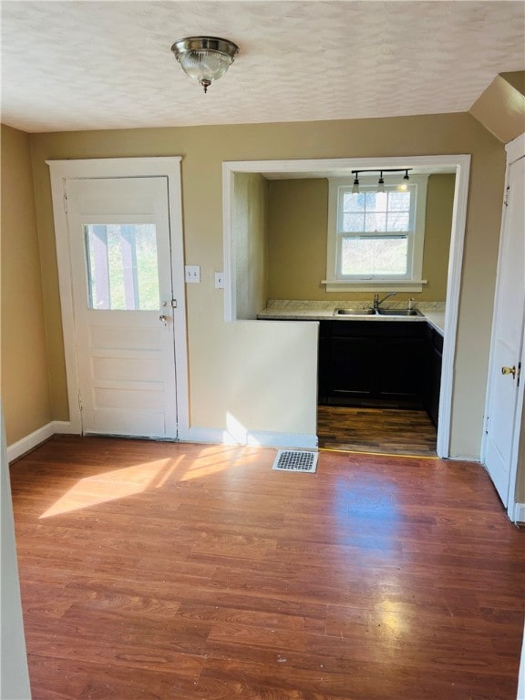 foyer featuring dark wood-type flooring and sink