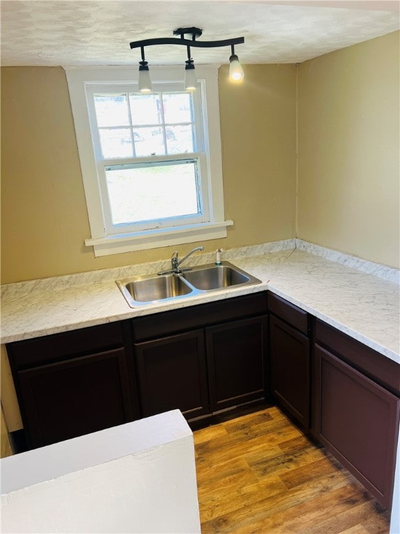 kitchen with sink, dark brown cabinetry, rail lighting, and light hardwood / wood-style floors