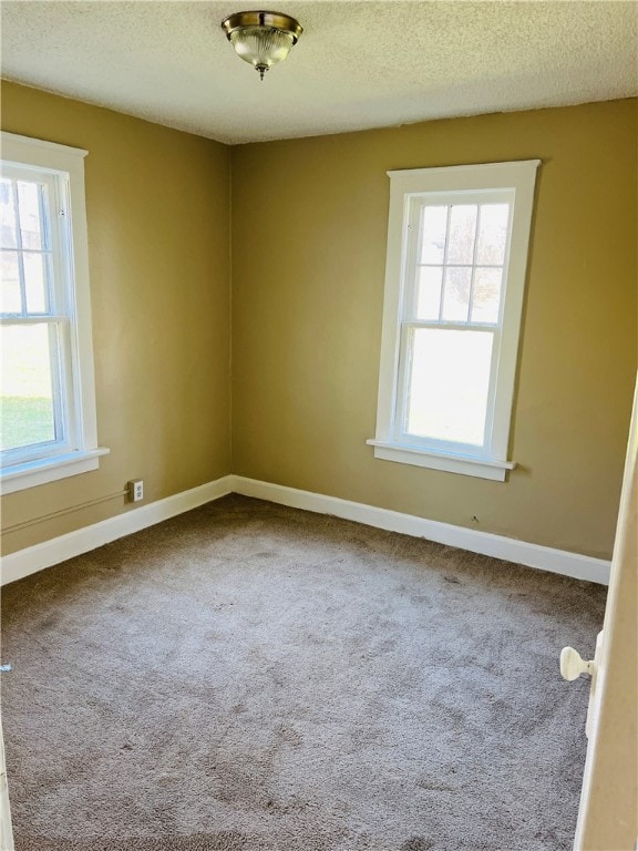 empty room featuring carpet floors, a textured ceiling, and a wealth of natural light