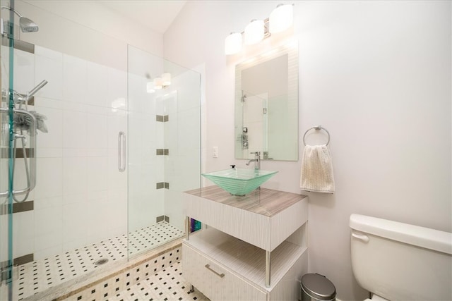 bathroom with walk in shower, toilet, and sink