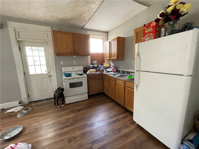 kitchen featuring white appliances, a healthy amount of sunlight, and dark wood-type flooring