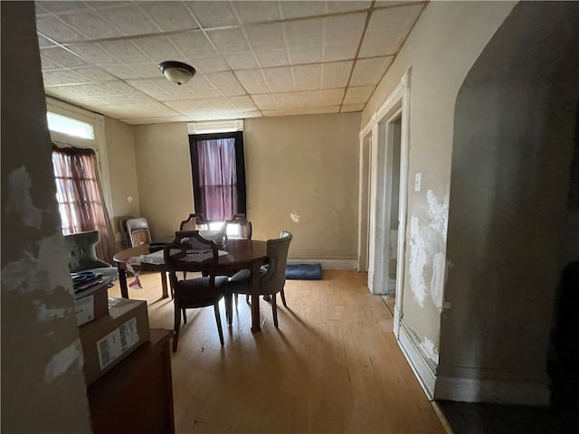 dining room with light hardwood / wood-style flooring