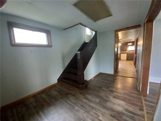 staircase with ceiling fan and hardwood / wood-style floors