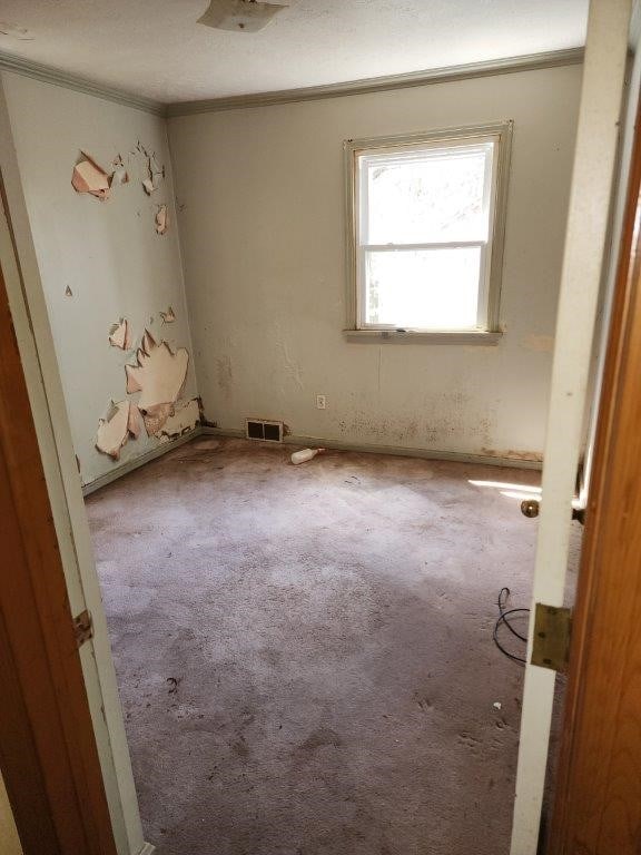 empty room with carpet flooring and a textured ceiling