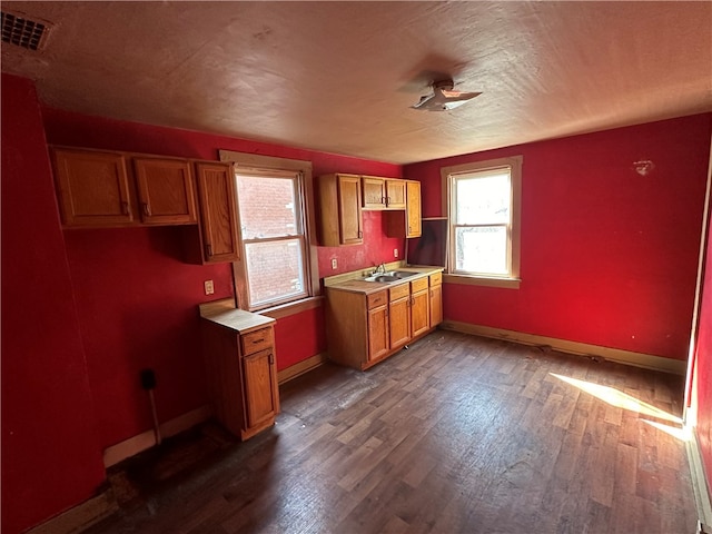 kitchen with sink and dark wood-type flooring