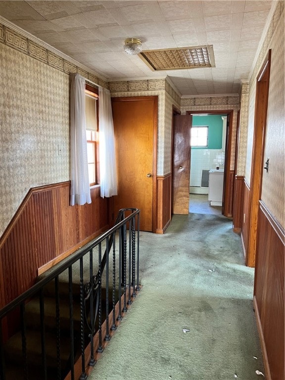 hallway with carpet floors