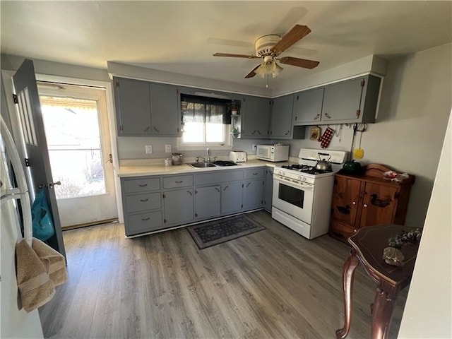 kitchen featuring gray cabinets, wood-type flooring, ceiling fan, and white appliances