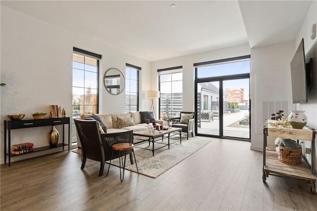 living room featuring a healthy amount of sunlight and hardwood / wood-style flooring