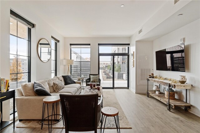 living room featuring light hardwood / wood-style floors and a healthy amount of sunlight