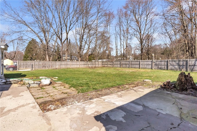 view of yard featuring a patio area