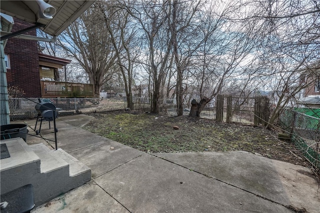 view of yard featuring a patio area